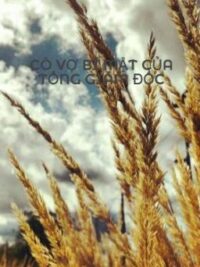 Ảnh bìa của Cô Vợ Bí Mật Của Tổng Giám Đốc