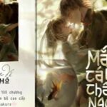 Mắt Cá Và Châu Ngọc (18+)