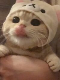 Ảnh bìa của [Edit] Mượn Căn Làm Việc ( Song Jj Công X Song Tính Thụ, Sinh Con )