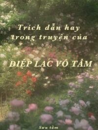 Ảnh bìa của Trích Dẫn Hay Trong Truyện Của Diệp Lạc Vô Tâm