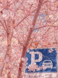 Ảnh bìa của Nữ Streamer