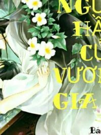 Ảnh bìa của Người Hầu Của Vương Gia  (Hoàn).