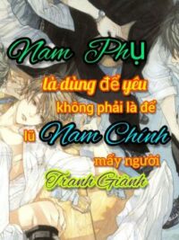 Ảnh bìa của Nam Phụ Là Dùng Để Yêu, Không Phải Là Để Cho Lũ Nam Chính Mấy Người Tranh Giành