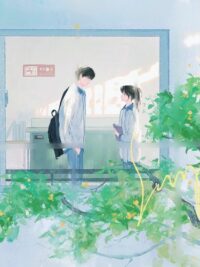 Ảnh bìa của Ve Sầu Mùa Hạ