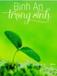 Ảnh bìa của Bình An Trọng Sinh – Dư Phương (Chương 1~ 200)