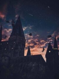 Ảnh bìa của 「 Đồng Nhân Hp」The Potter Twins