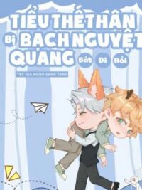 Ảnh bìa của [ Edit/ Hoàn] ✨Tiểu Thế Thân Bị Bạch Nguyệt Quang Bắt Đi Rồi