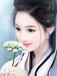 Ảnh bìa của Hệ Thống Sủng Phi – Tác Giả: Chu Nữ