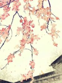 Ảnh bìa của Ký Sự Hậu Cung P2 ( Chương 198_ Hoàn ) ( Bản Edit)